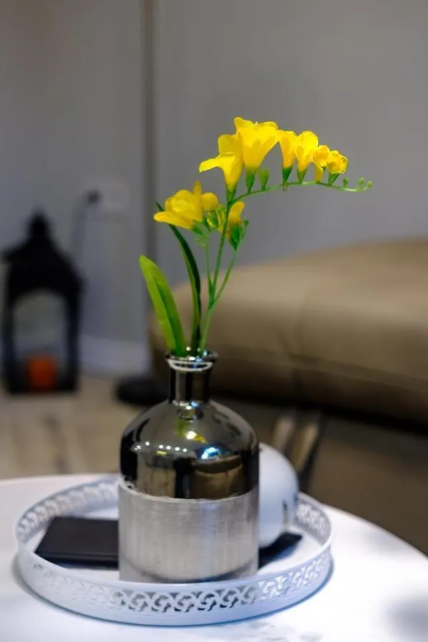 Apartment The Olive Green House Burgas